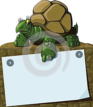 Intelligent Turtle