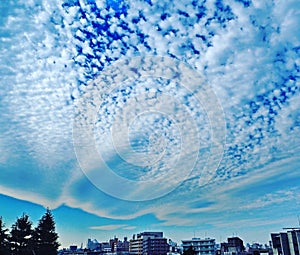 Intense blue sky with unusual rippled clouds over a Tokyo suburb