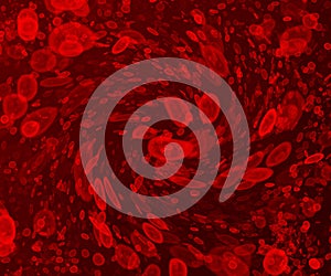 Intense cluttering of blood cells