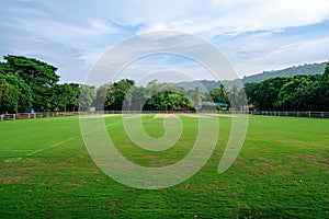 Intense Cricket Competition on Field