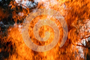 Intense Forest Fire Abstract Background