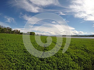 Intense Green Field at the Lake San Roque in San Roque, Cordoba, Argentina photo