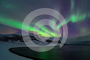 Intense northern lights, Aurora Borealis at a bay near Honningsvag and the Nordkapp, North Cape, Finnmark, Norway photo