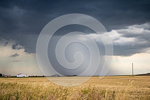 An intense shaft of rain and hail descends to the ground from a dark storm cloud.