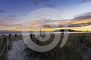 Intense sunrise beyond dune restoration planting at Mount Maunganui