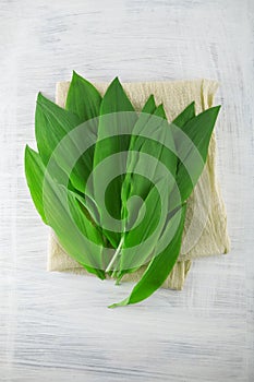 Intensely fragrant fresh green wild garlic herbs decorated on rustic white wood plate