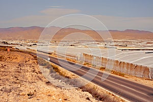 Intensive farming in high tunnels in Almeria, Spain photo