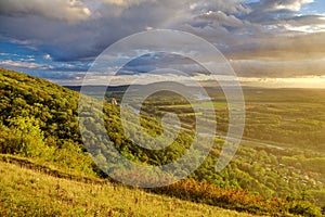 Intensive green forests and fields in sunset time, Austria