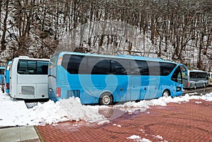 Intercity buses parked near the mountain forest at winter