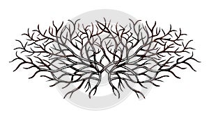 Interconnected Bare Branches, Organic Network Pattern, vector design Generative AI
