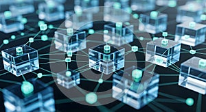 Interconnected data cubes network