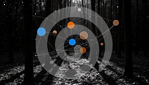 Interconnected Orbs in Dark Forest