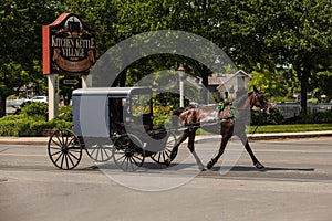 Amish Horse Buggy in Summer