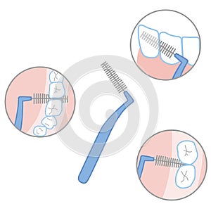 Interdental brush