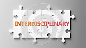 Interdisciplinary complex like a puzzle - pictured as word Interdisciplinary on a puzzle to show that it can be difficult and photo