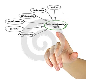 Interdisciplinary Team