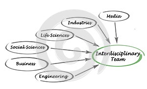 Interdisciplinary Team