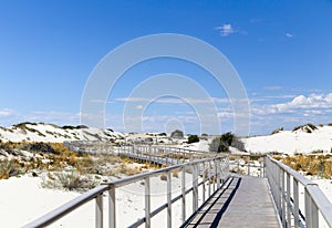 Interdune boardwalk