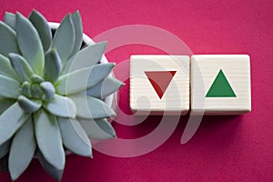 Interest rate symbol. Two wooden cubes with arrow going down and arrow going up. Beautiful red background with succulent plant.
