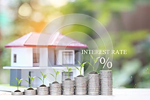 Interest rate up and Banking concept, Plant growing on stack of coins money and model house on natural green background,Finance