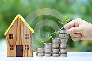 Interest rate up and Banking concept, Plant growing on stack of coins money and model house on natural green background,Finance