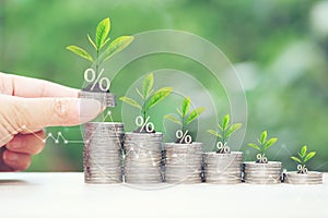 Interest rate up and Banking concept, Plant growing on stack of coins money on natural green background