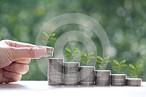 Interest rate up and Banking concept, Plant growing on stack of coins money on natural green background,Finance