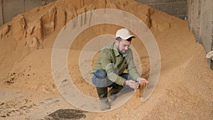 Interested young bearded farmer crouched near large pile of grinded soybean hulls for livestock feeding, checking