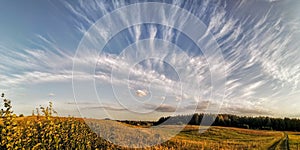 Interesting cloudy sky and a field