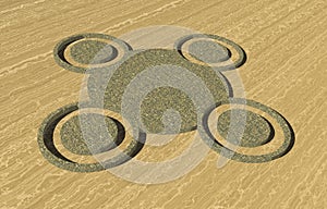 Interesting crop circles