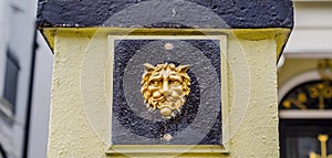 Interesting decoration in the shape of a lion`s head placed on t