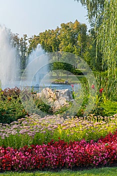 Interesting decorative stone lying in a flower bed with flowers on a background of a fountain