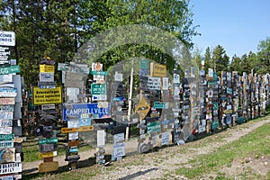 Interesting forest made with posted signs.