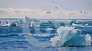 Interesting ice rocks floating on the Atlantic ocean