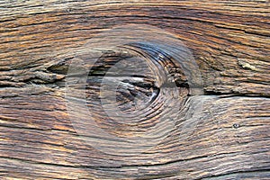 Interesting knot on oak wood