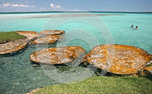 Interesting limestone formations photo