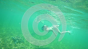 Interesting picture of people diving with sea turtles