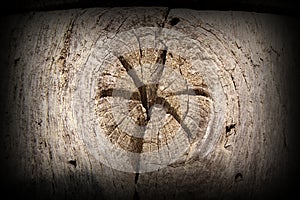 Interesting star in wood knot