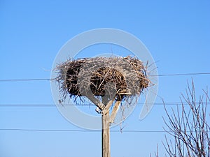 An interesting stork`s nest, a stork`s nest of electricity