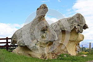 Interestingly shaped eroded rocks at Takiroa NZ