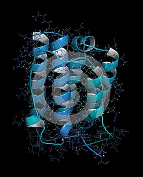 Interferon alpha 2a (IFNA2) molecule, 3D rendering.