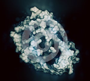 Interferon alpha 2a (IFNA2) molecule, 3D rendering.