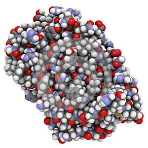 Interferon beta molecule photo