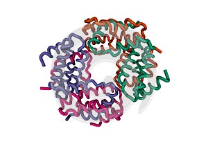 Structure of the recombinant human interferon-gamma tetramer photo