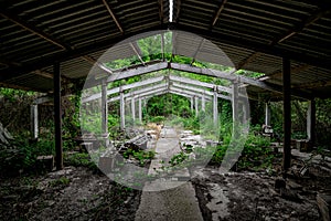 The interior of an abandoned overgrown concrete industrial building