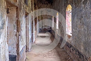 Interior of abandoned penal colony on Salvation`s Islands, French Guiana photo