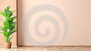 Interior background of room with coral wall and vase with palm 3d rendering