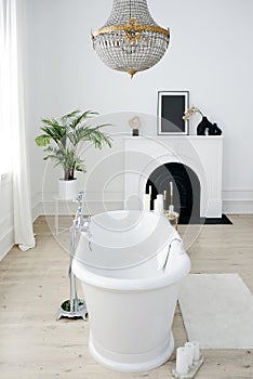 Interior of the bathroom with fireplace