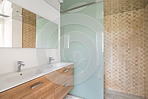 Interior of a bathroom with shower cabin, two white sinks, wooden furniture in natural light