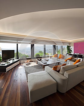 Interior, beautiful living room